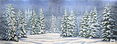 Snow Forest 16.11 x 44.6