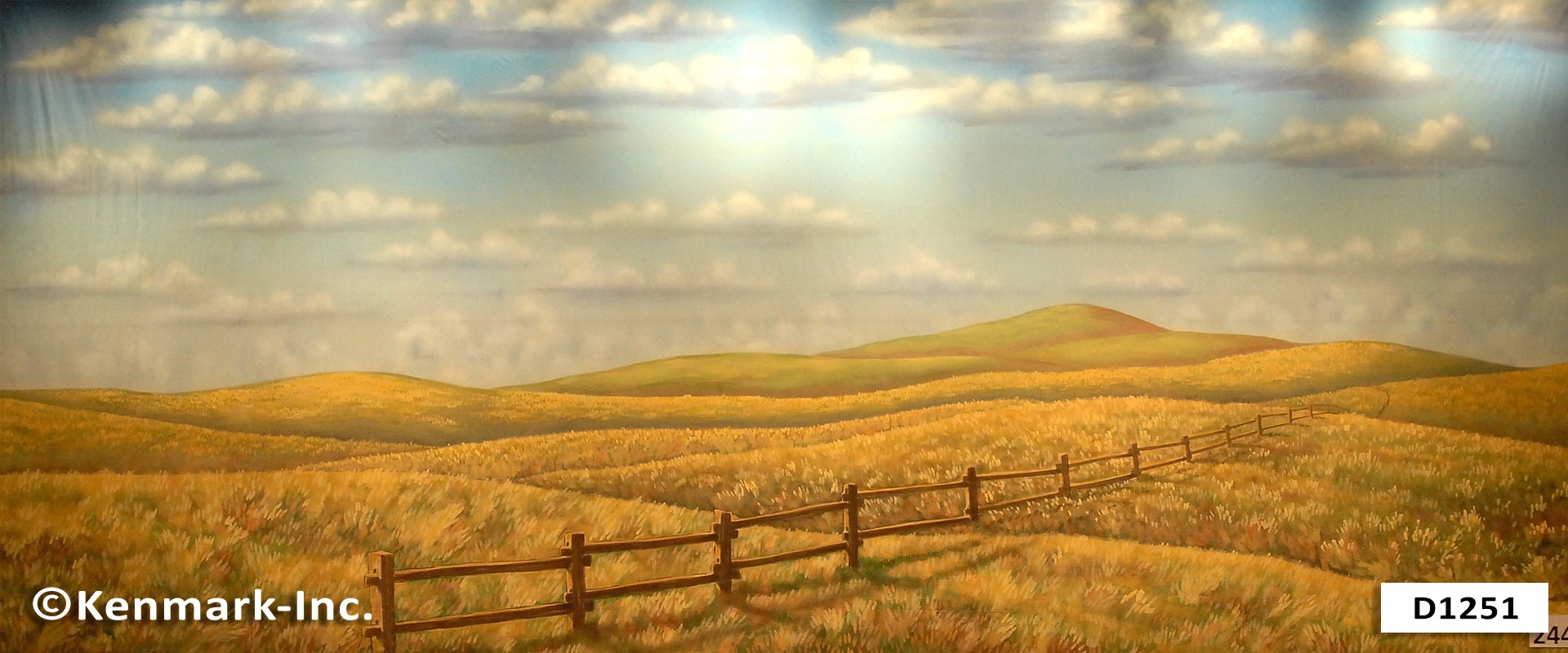 Wheat Fields