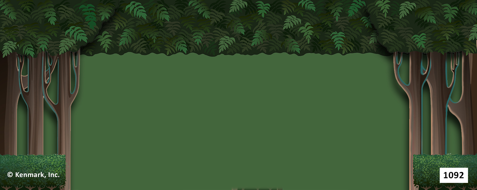 ED1092 Forest Border and Legs 20x50