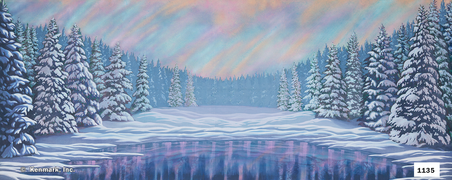D1135 Snow Forest with Pond 20x50
