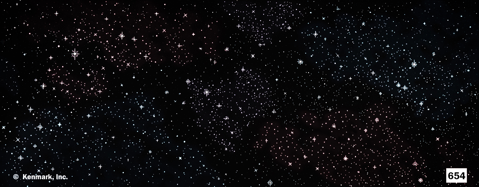 D654 Starry Night 20x50