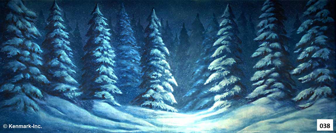 D038 Snow Forest
