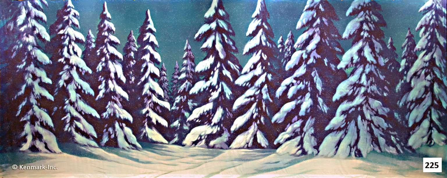 D225 Snow Forest