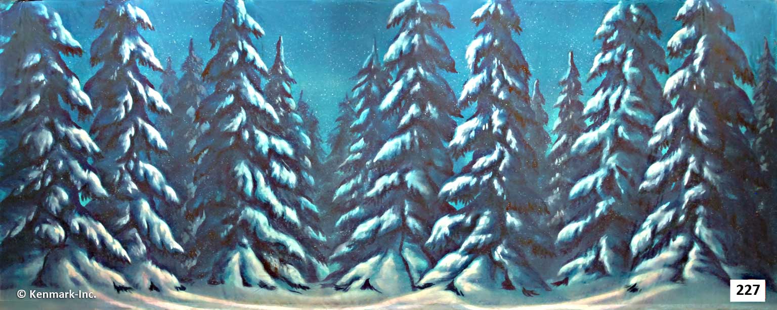 D227 Snow Forest