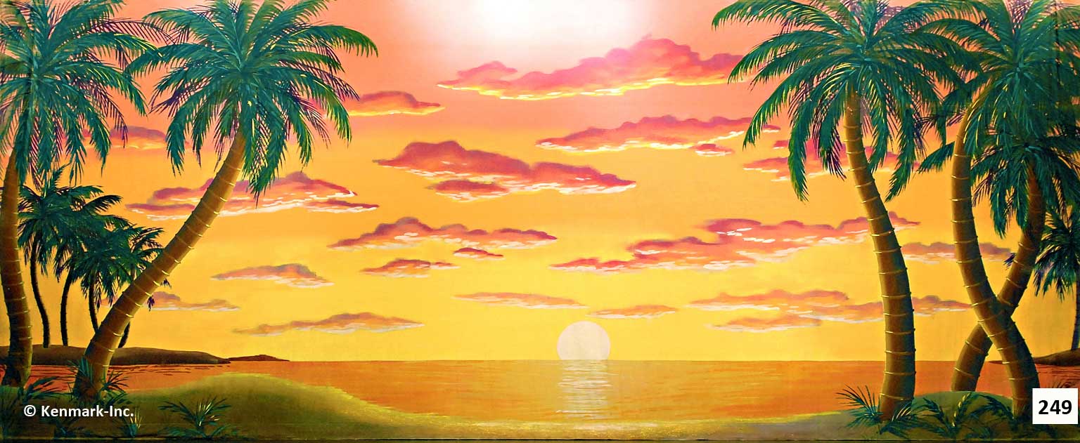 D249 Hawaiian Sunset