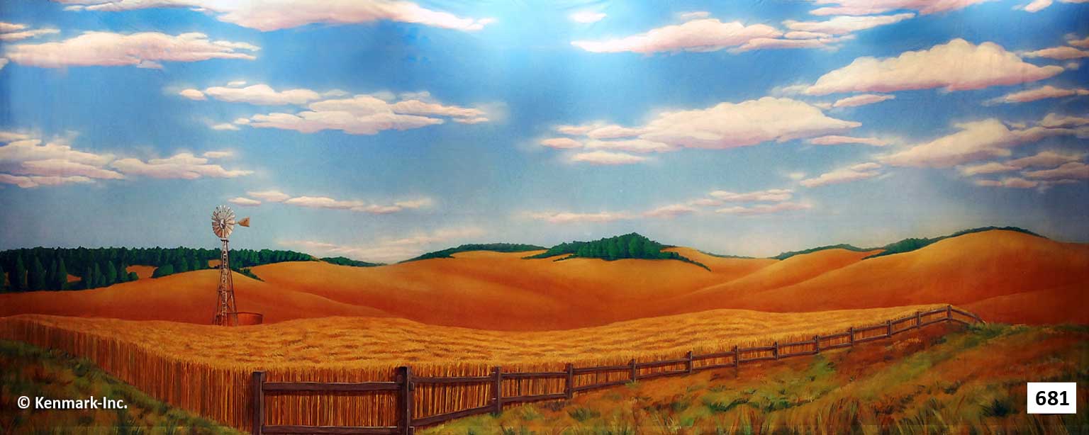 ED681 Wheat Field Color
